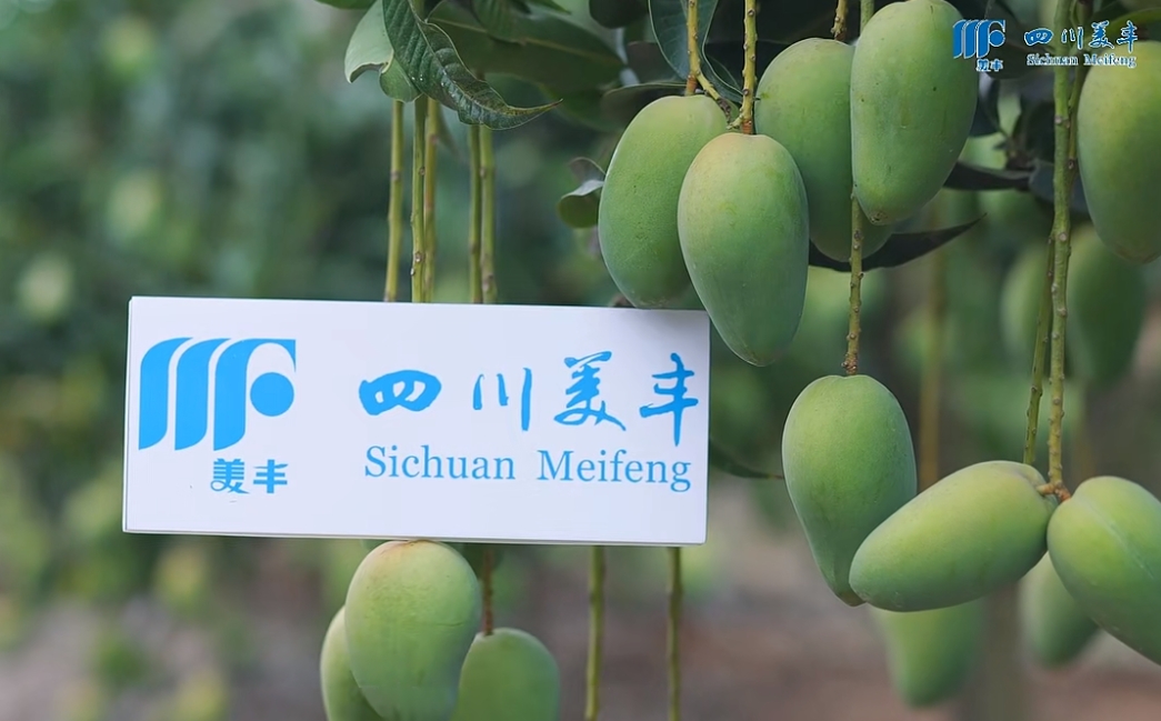 南方农村报：​k8凯发人生赢家一触即发系列新品热销海南，让品质提升更轻松